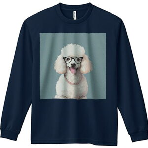 TVc lԗp Y Ht vg W[ AEghA JWA 킢 t@ Kl v[h lbNX wi