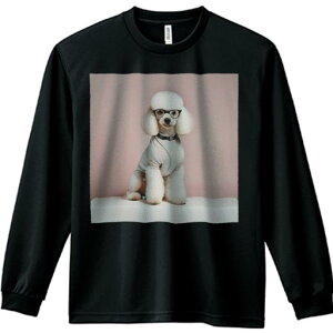 TVc lԗp Y Ht vg W[ AEghA JWA 킢 t@ Kl v[h Z[^[ sN̔wi