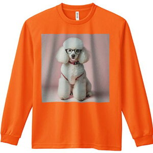 TVc lԗp Y Ht vg W[ AEghA JWA 킢 t@ Kl v[h sN̔wi