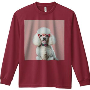 TVc lԗp Y Ht vg W[ AEghA JWA 킢 t@ Kl v[h JtȎ sN̔wi