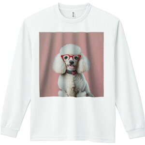 TVc lԗp Y Ht vg W[ AEghA JWA 킢 t@ Kl v[h JtȎ sN̔wi