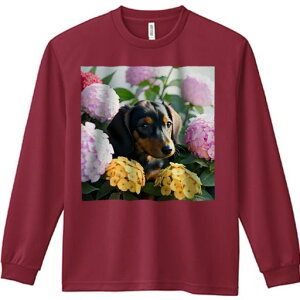 TVc lԗp Y Ht vg W[ AEghA JWA 킢 t@ AWTC _bNXth  