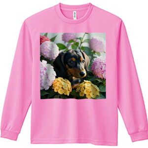 TVc lԗp Y Ht vg W[ AEghA JWA 킢 t@ AWTC _bNXth  