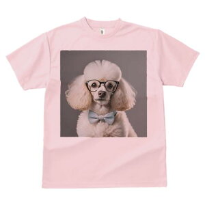 TVc Y LbY t@  t  vg JWA 킢 lԗp tBbglX _X Kl v[h { 