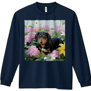 TVc lԗp Y Ht vg W[ AEghA JWA 킢 t@ AWTC _bNXth  