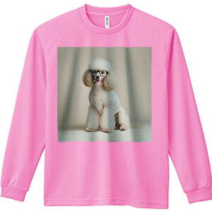 TVc lԗp Y Ht vg W[ AEghA JWA 킢 t@ Kl gCv[h Z[^[