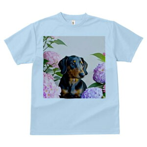 TVc Y LbY t@  t  vg JWA 킢 lԗp tBbglX _X AWTC _bNXth  R