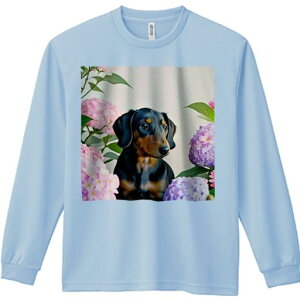 TVc lԗp Y Ht vg W[ AEghA JWA 킢 t@ AWTC _bNXth  R