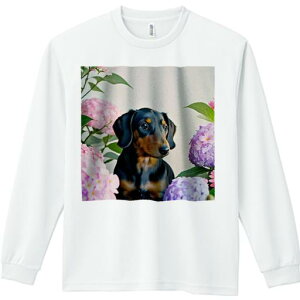 TVc lԗp Y Ht vg W[ AEghA JWA 킢 t@ AWTC _bNXth  R