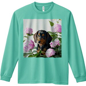 TVc lԗp Y Ht vg W[ AEghA JWA 킢 t@ AWTC _bNXth  t