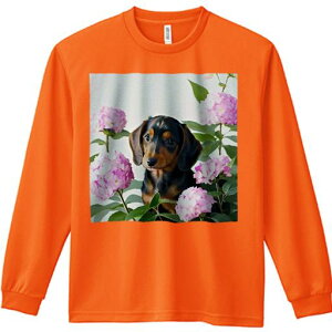 TVc lԗp Y Ht vg W[ AEghA JWA 킢 t@ AWTC _bNXth  t