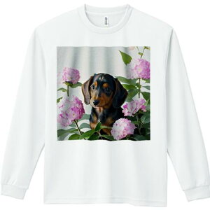 TVc lԗp Y Ht vg W[ AEghA JWA 킢 t@ AWTC _bNXth  t