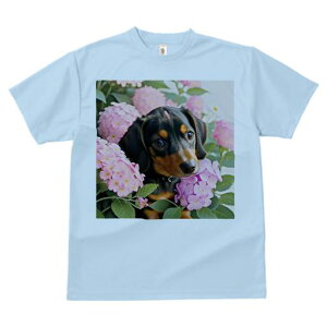 TVc Y LbY t@  t  vg JWA 킢 lԗp tBbglX _X  _bNXth sN̉ AWTC