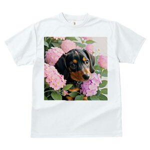 TVc Y LbY t@  t  vg JWA 킢 lԗp tBbglX _X  _bNXth sN̉ AWTC