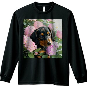 TVc lԗp Y Ht vg W[ AEghA JWA 킢 t@  _bNXth sN̉ AWTC