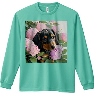 TVc lԗp Y Ht vg W[ AEghA JWA 킢 t@  _bNXth sN̉ AWTC