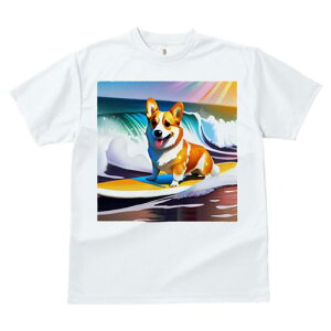 TVc Y LbY t@  t  vg JWA 킢 lԗp tBbglX _X T[tB R[M[ C g T[t{[h