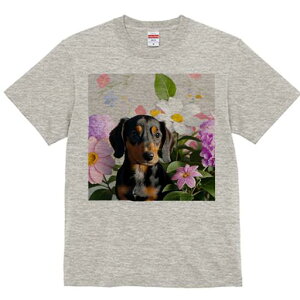 TVc Y LbY t@  t  vg JWA 킢 lԗp tBbglX _X  _bNXth fCW[ AWTC wi