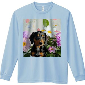 TVc lԗp Y Ht vg W[ AEghA JWA 킢 t@  _bNXth fCW[ AWTC wi