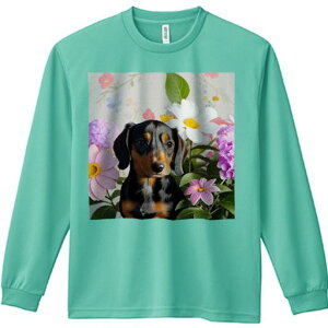 TVc lԗp Y Ht vg W[ AEghA JWA 킢 t@  _bNXth fCW[ AWTC wi