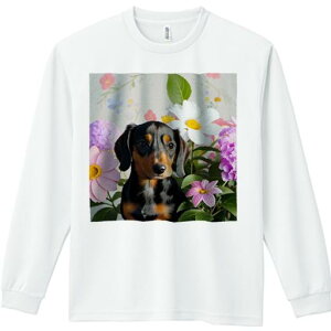 TVc lԗp Y Ht vg W[ AEghA JWA 킢 t@  _bNXth fCW[ AWTC wi