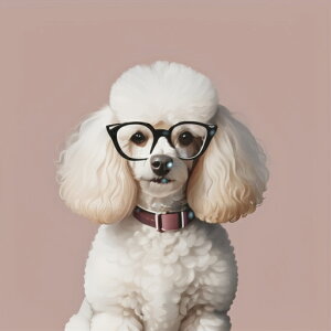 Kl v[h  sN̔wi 킢 NbVJo[ 45×45cm Aj}   NbV{̕t ` t@