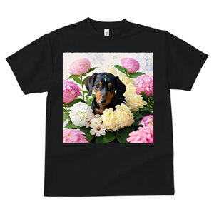 TVc Y LbY t@  t  vg JWA 킢 lԗp tBbglX _X AWTC _bNXtg sN̉  ΂̗t