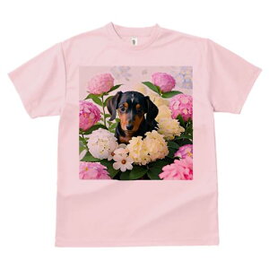 TVc Y LbY t@  t  vg JWA 킢 lԗp tBbglX _X AWTC _bNXtg sN̉  ΂̗t