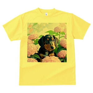 TVc Y LbY t@  t  vg JWA 킢 lԗp tBbglX _X AWTC _bNXth 