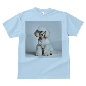 TVc Y LbY t@  t  vg JWA 킢 lԗp tBbglX _X Kl v[h Z[^[  t@bV wi