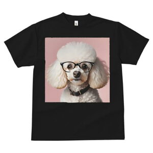 TVc Y LbY t@  t  vg JWA 킢 lԗp tBbglX _X Kl v[h sNwi