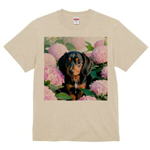 TVc Y LbY t@  t  vg JWA 킢 lԗp tBbglX _X sÑAWTC _bNXth ΂̗t