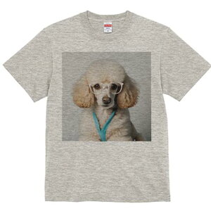 TVc Y LbY t@  t  vg JWA 킢 lԗp tBbglX _X Kl v[h