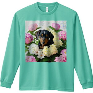 TVc lԗp Y Ht vg W[ AEghA JWA 킢 t@ AWTC _bNXtg sN̉  ΂̗t