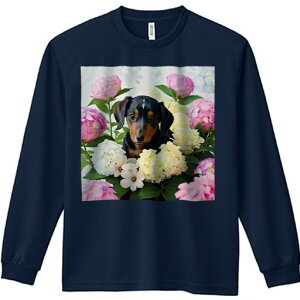 TVc lԗp Y Ht vg W[ AEghA JWA 킢 t@ AWTC _bNXtg sN̉  ΂̗t