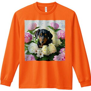 TVc lԗp Y Ht vg W[ AEghA JWA 킢 t@ AWTC _bNXtg sN̉  ΂̗t