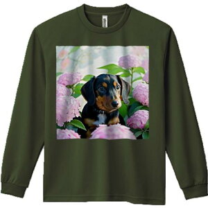 TVc lԗp Y Ht vg W[ AEghA JWA 킢 t@ AWTC _bNXth 