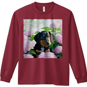 TVc lԗp Y Ht vg W[ AEghA JWA 킢 t@ AWTC _bNXth 