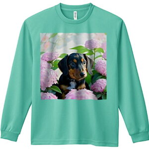 TVc lԗp Y Ht vg W[ AEghA JWA 킢 t@ AWTC _bNXth 