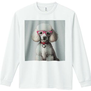 TVc lԗp Y Ht vg W[ AEghA JWA 킢 t@ Kl v[h  n[g^^O