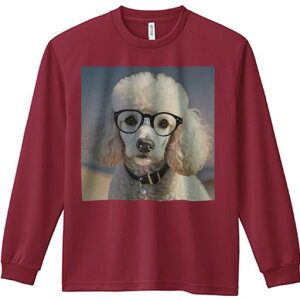 TVc lԗp Y Ht vg W[ AEghA JWA 킢 t@ Kl v[h  