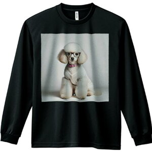 TVc lԗp Y Ht vg W[ AEghA JWA 킢 t@ Kl v[h Z[^[  t@bV wi