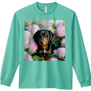 TVc lԗp Y Ht vg W[ AEghA JWA 킢 t@ sÑAWTC _bNXth ΂̗t