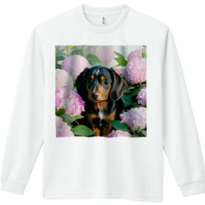 TVc lԗp Y Ht vg W[ AEghA JWA 킢 t@ sÑAWTC _bNXth ΂̗t