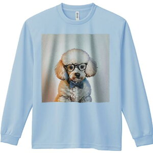 TVc lԗp Y Ht vg W[ AEghA JWA 킢 t@ Kl v[h lN^C  