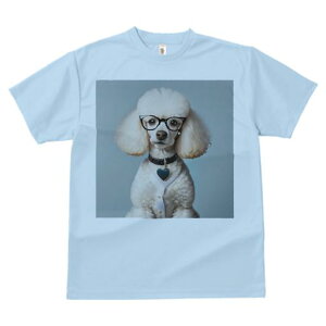 TVc Y LbY t@  t  vg JWA 킢 lԗp tBbglX _X Kl v[h n[g̃y_g {