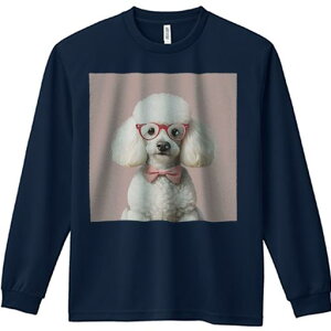 TVc lԗp Y Ht vg W[ AEghA JWA 킢 t@ Kl v[h lN^C 