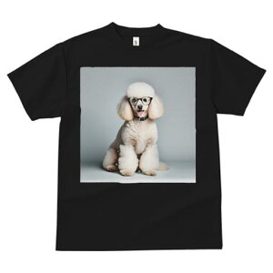 TVc Y LbY t@  t  vg JWA 킢 lԗp tBbglX _X Kl v[h 