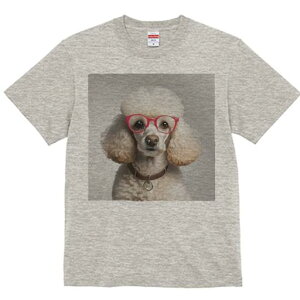 TVc Y LbY t@  t  vg JWA 킢 lԗp tBbglX _X ԂKl v[h 