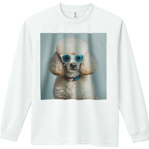 TVc lԗp Y Ht vg W[ AEghA JWA 킢 t@ TOX v[h  ʂ